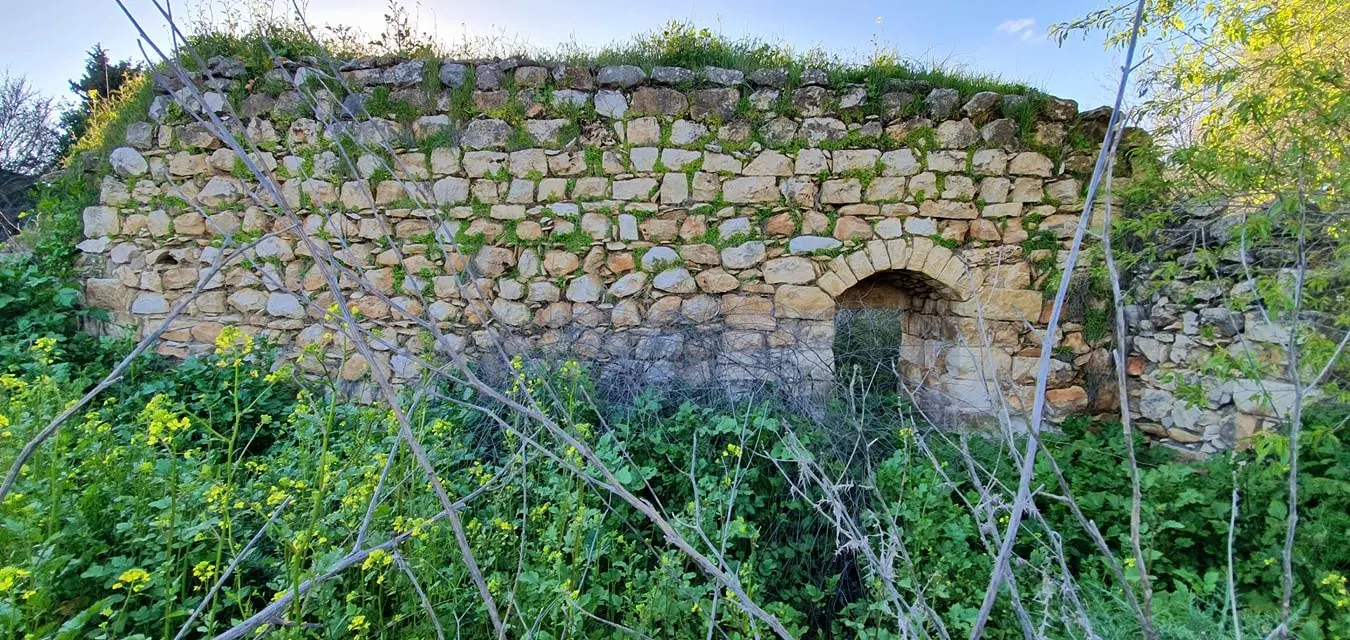 قصص كفر برعم